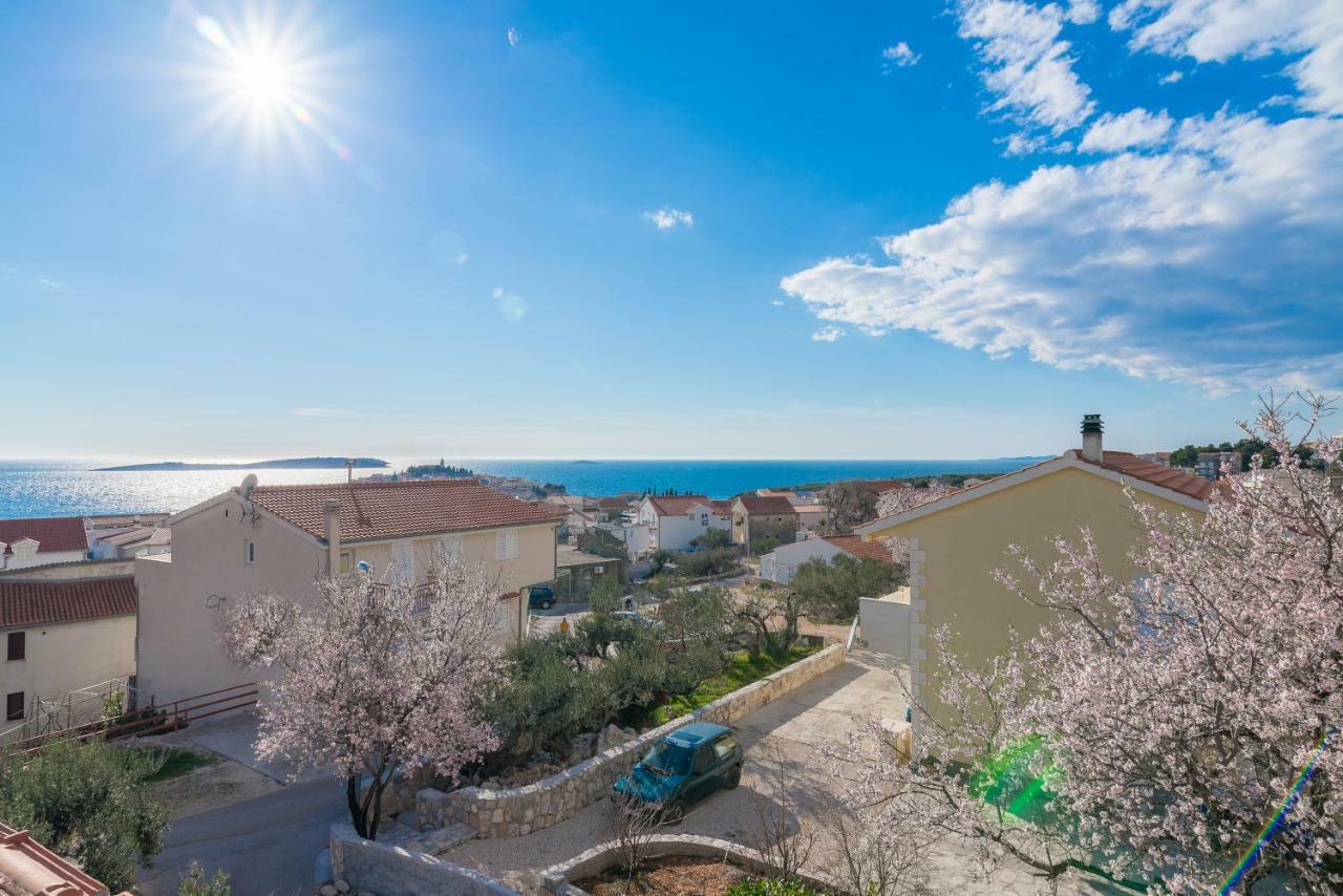 Olive Gardens Apartment Primosten Luaran gambar
